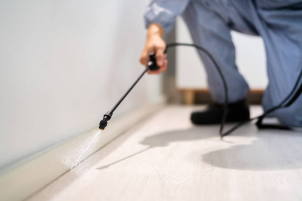 Licensed Ant Control service in Burlington, NC - Show Me Pest Control