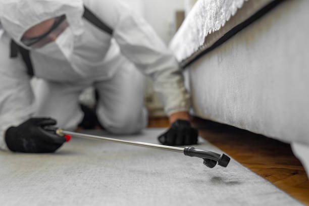 Professional Ant Control technician working in Burlington, NC