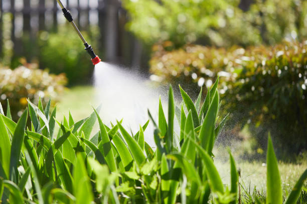 24/7 Emergency Ant Control experts in Burlington, NC