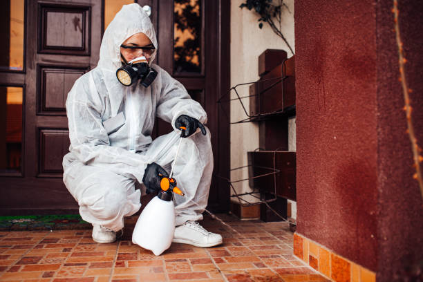 Reliable Ant Control contractor in Burlington, NC by Show Me Pest Control